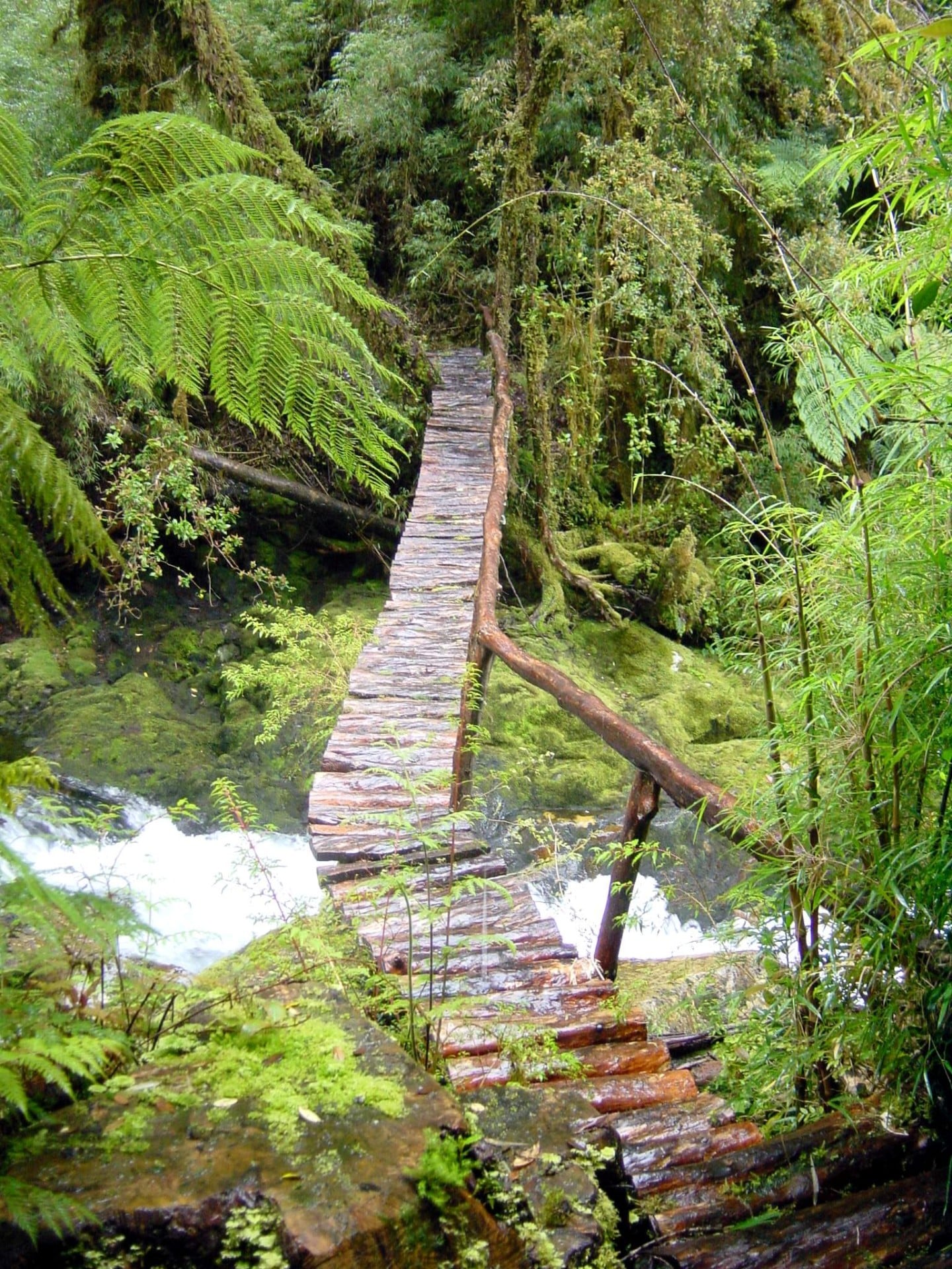 le petit pont de bois