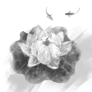 Les photographies de Patagonie